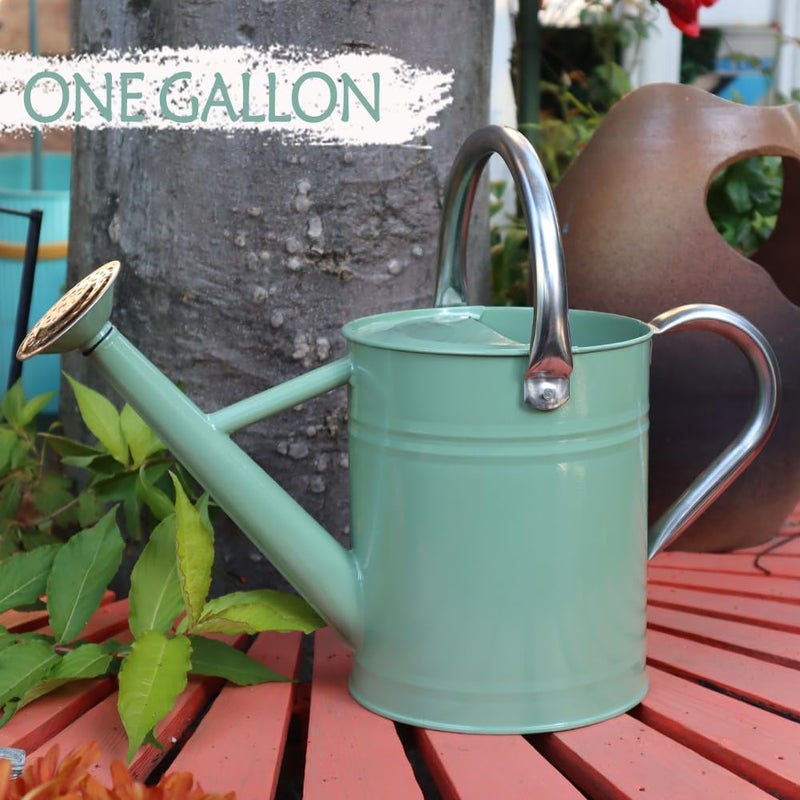 yourjoy Metal Watering Can, One Gallon Watering Cans Stainless Steel for Outdoor Indoor Garden Plants Watering (Cream Green) - Image 3